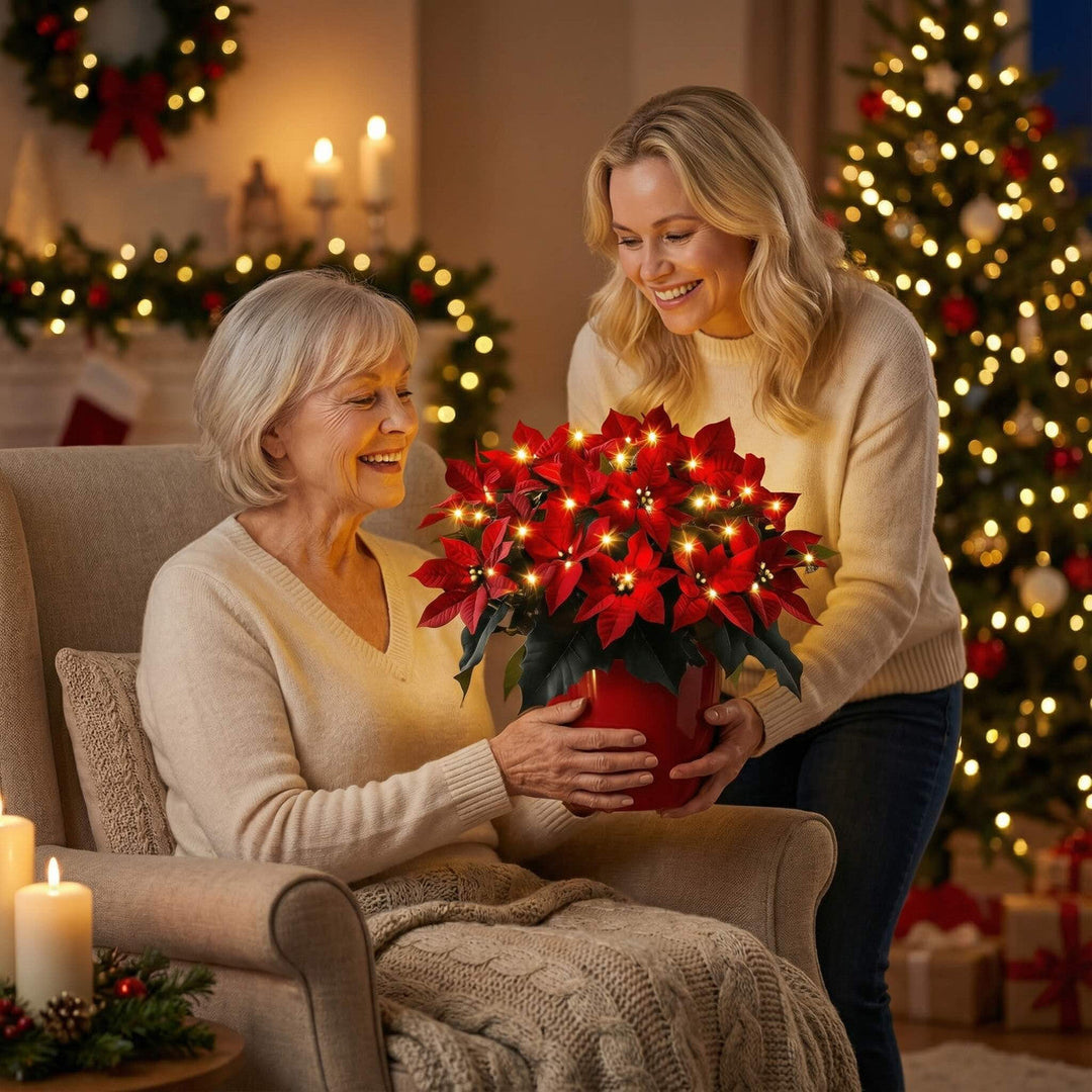 Kerstjerne Rubin Strålende