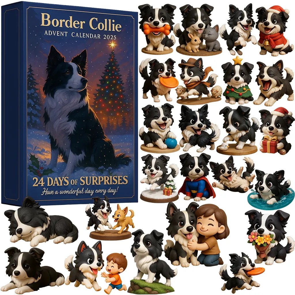 Border Collie | Adventskalender 2025