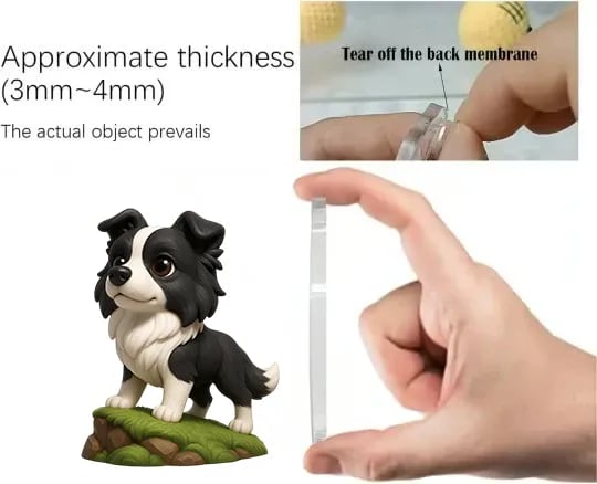 Border Collie | Adventskalender 2025